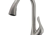 Anzzi Accent Series Single Handle Pull Down Sprayer Kitchen Faucet throughout proportions 1000 X 1000