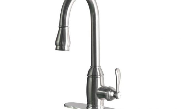 Belle Foret Kitchen Sink Faucets Httplatulufeed inside size 1000 X 1000