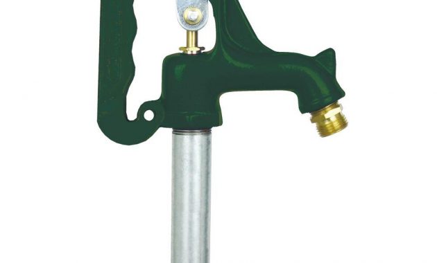 Everbilt 2 Ft Bury Depth Frost Proof Yard Hydrant Eh02nl The in proportions 1000 X 1000