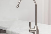 Famous Filtered Water Faucet Brushed Nickel Inspiration Faucet with regard to measurements 1000 X 1000