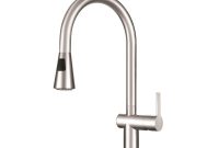 Franke Bern Single Handle Pull Down Sprayer Kitchen Faucet With Fast inside measurements 1000 X 1000