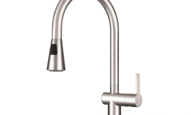 Franke Bern Single Handle Pull Down Sprayer Kitchen Faucet With Fast inside measurements 1000 X 1000