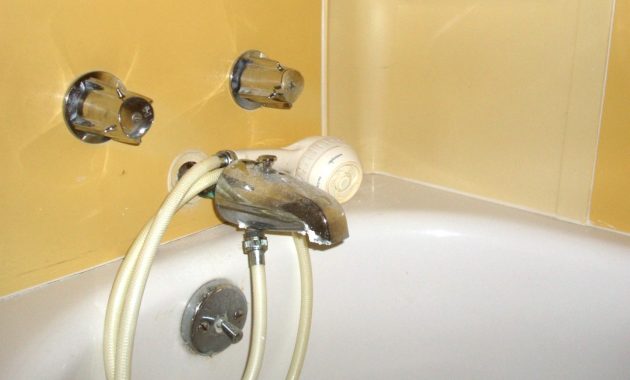 Handheld Shower For Bathtub Faucet Bathroom Ideas within proportions 1440 X 1080