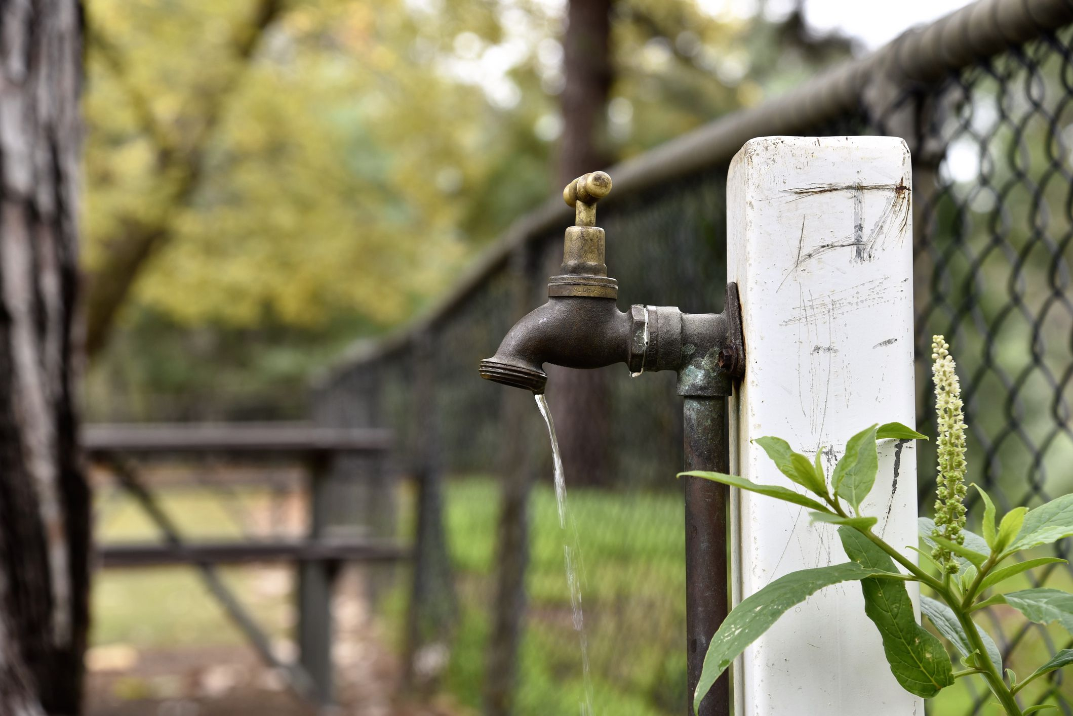 Installing Covers On Outdoor Water Spigots pertaining to dimensions 2119 X 1415