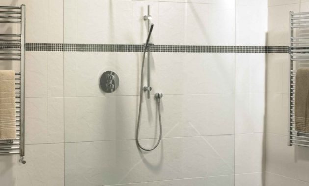 Interior Handicap Shower Room Design With Glass Divider And pertaining to measurements 936 X 936