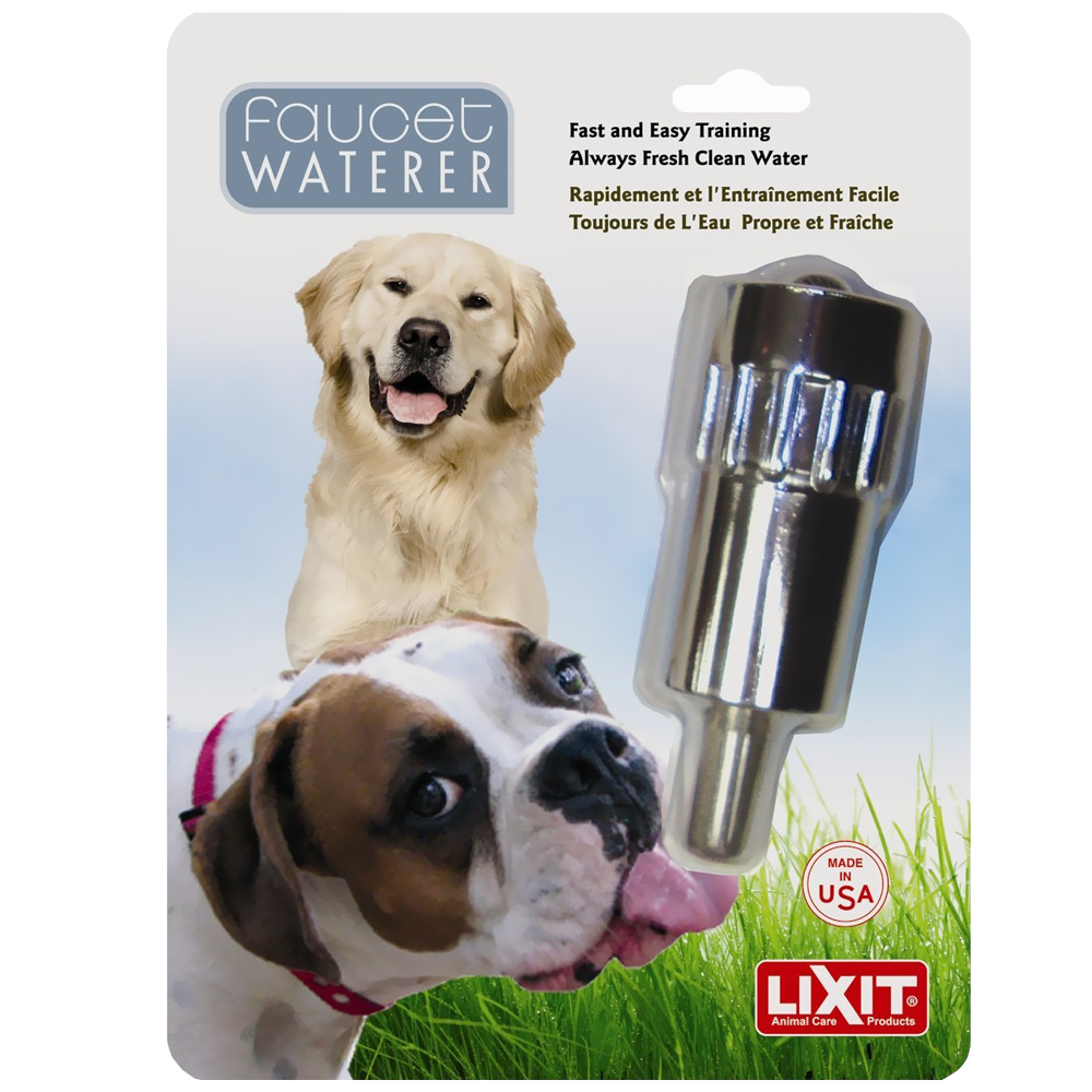 Lixit Faucet Waterer For Dogs intended for dimensions 1000 X 1000