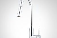 Long Reach Kitchen Faucet within sizing 1024 X 1024