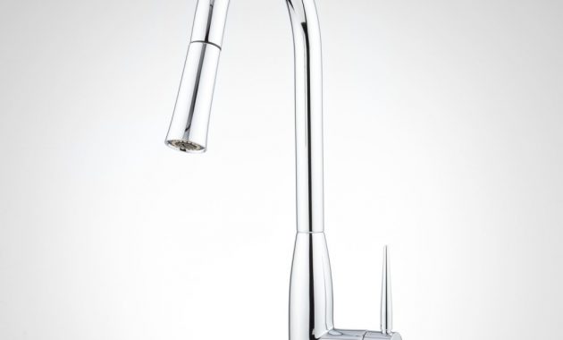 Long Reach Kitchen Faucet within sizing 1024 X 1024