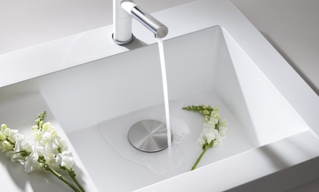 Lovely Blanco Bathroom Faucets Indusperformance for dimensions 1741 X 1500