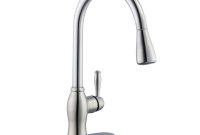 Pegasus 1050 Pull Down Sprayer Kitchen Faucet In Stainless Steel intended for measurements 1000 X 1000