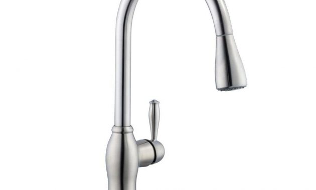 Pegasus 1050 Pull Down Sprayer Kitchen Faucet In Stainless Steel intended for measurements 1000 X 1000