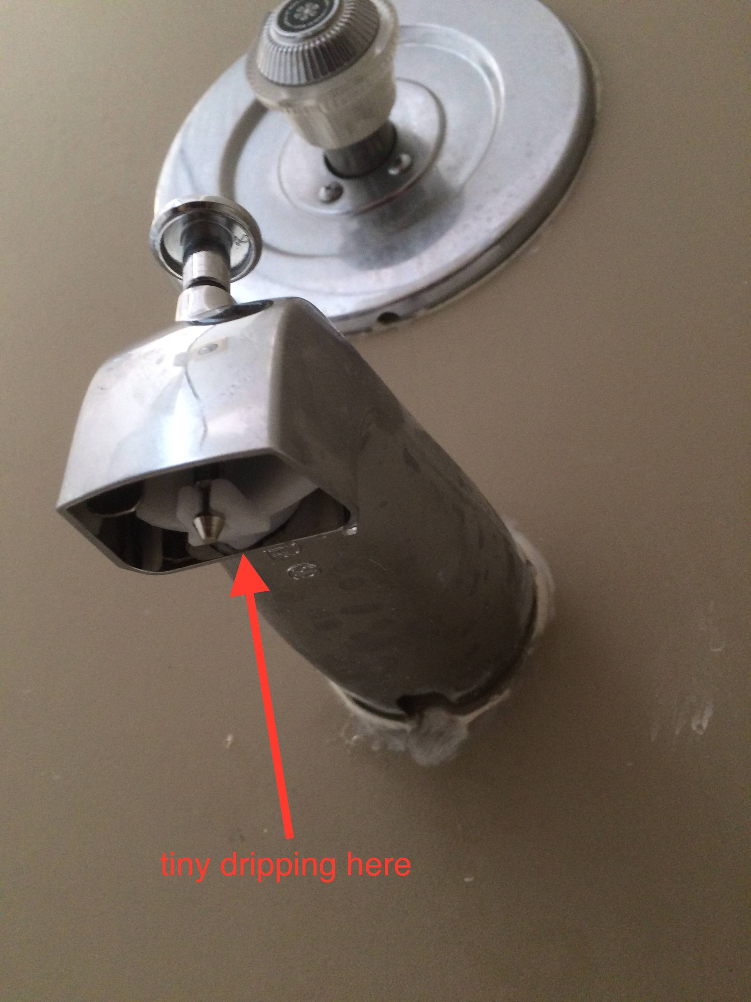 Plumbing Bath Tub Spout Still Drips A Little After Replacing Is with regard to proportions 2448 X 3264