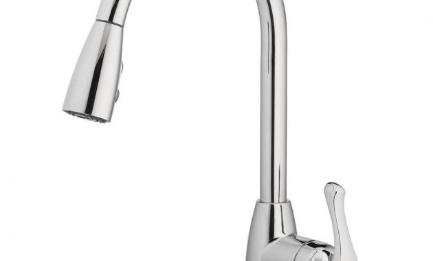 Project Source Chrome 1 Handle Pull Down Kitchen Faucet House with proportions 900 X 900