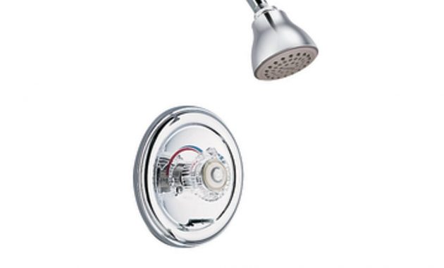 Push Pull Shower Faucet Wwwaggressivemarketing within dimensions 1000 X 1000