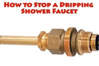 Shower Faucet Diagram Luxury Replace Shower Faucet Cartridge Luxury throughout proportions 1534 X 848