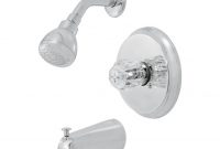 Shower Stirring Single Handle Shower Valve Images Ideas Decorating in sizing 1305 X 1305