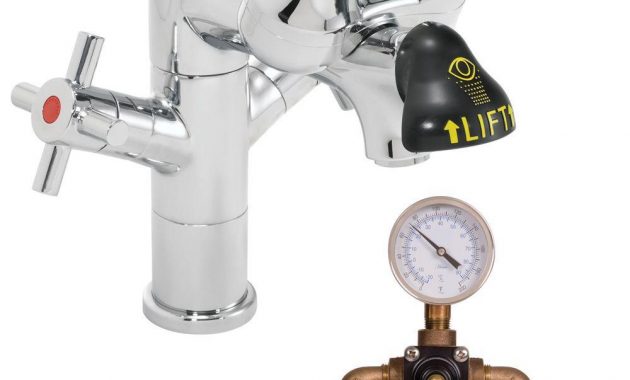 Speakman Eyesaver Laboratory Eye Wash With Faucet And Thermostatic intended for size 1000 X 1000