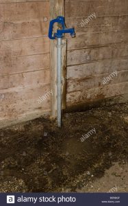 Water Faucet In Barn With Water Spilled On The Ground Stock Photo regarding dimensions 866 X 1390