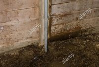 Water Faucet In Barn With Water Spilled On The Ground Stock Photo regarding dimensions 866 X 1390