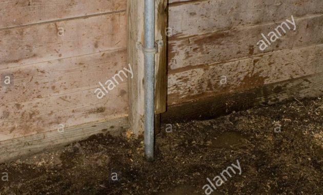 Water Faucet In Barn With Water Spilled On The Ground Stock Photo regarding dimensions 866 X 1390