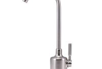 Watts 1 Handle Top Mount Air Gap Faucet In Brushed Nickel With with dimensions 1000 X 1000