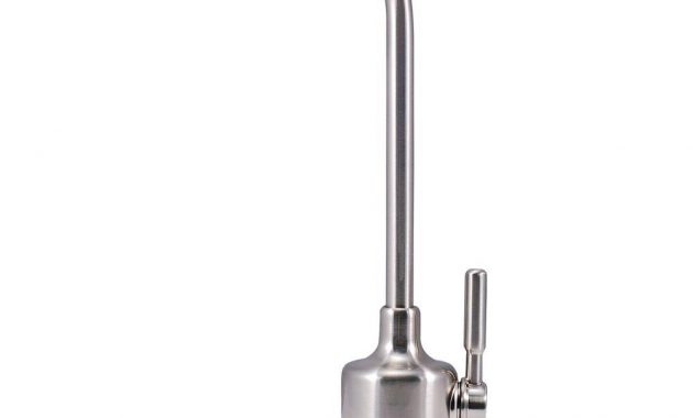 Watts 1 Handle Top Mount Air Gap Faucet In Brushed Nickel With with dimensions 1000 X 1000