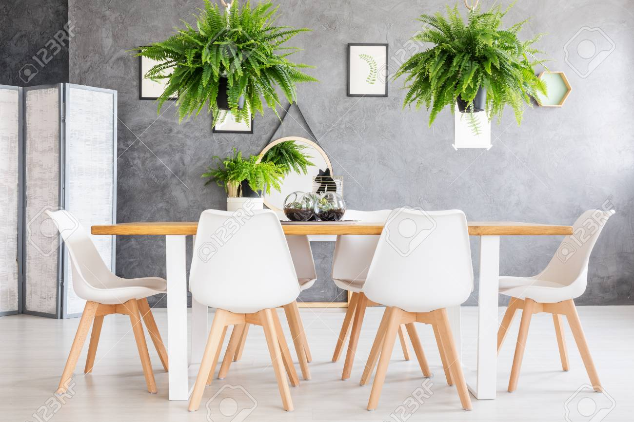 Eco Friendly House Dining Room Interior With Fern Plants And intended for measurements 1300 X 866